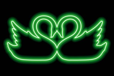 Birbirinin kafasına dokunan iki kuğu. Birbirine aşık iki kuş. Yeşil neon çizgisi