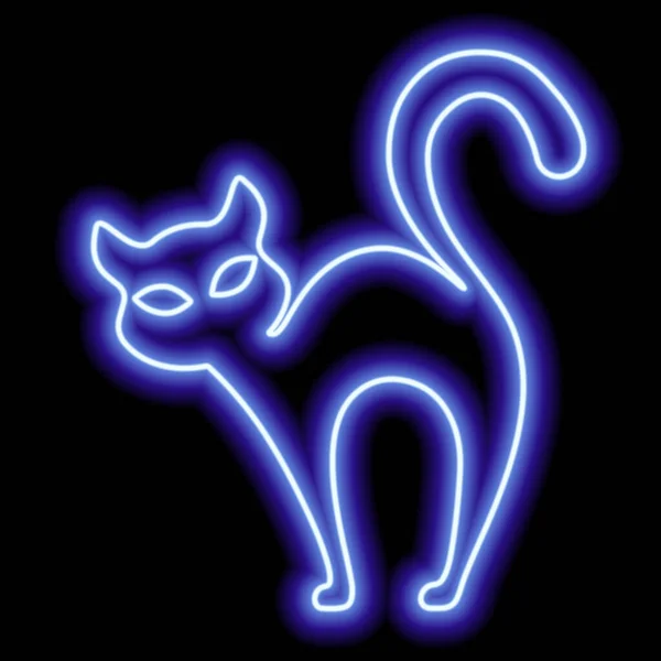 Neonově Modrý Obrys Kočky Černém Pozadí Čarodějnice Halloween Vektorová Ilustrace Royalty Free Stock Ilustrace