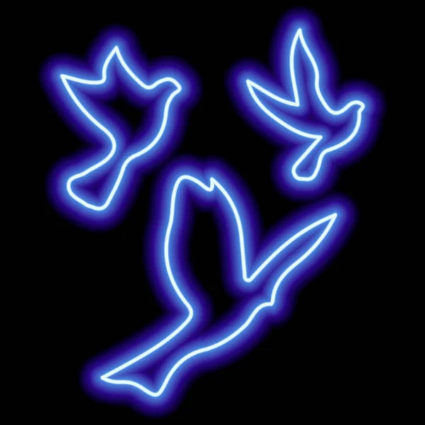 Kuşun Mavi Neon Siluetleri Gökyüzünde Siyah Üzerinde Uçuyor Özgürlük Uçmak — Stok Vektör