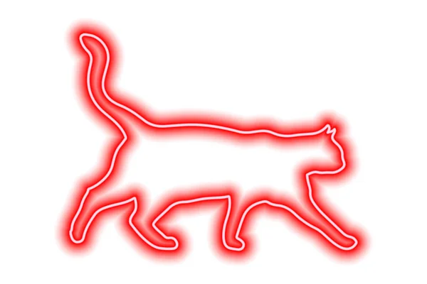 Neon Rote Katze Isoliert Auf Weiß Die Katze Geht Mit — Stockvektor
