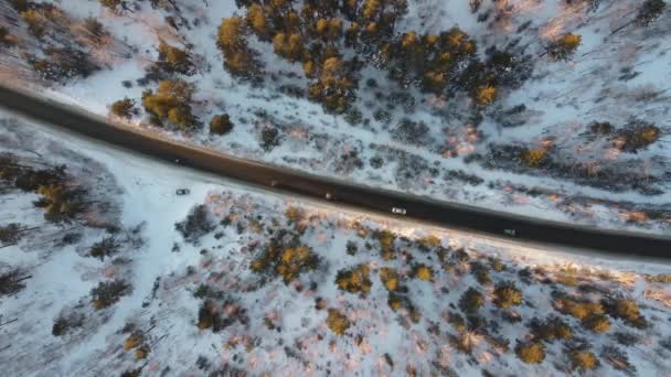 Winter Road Forest Aerial View — Vídeos de Stock
