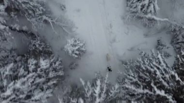 Girl walking with dog in a snowy forest aerial view