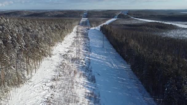 Power Line Winter Forest Aerial View — Stockvideo