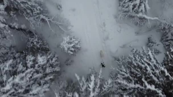 Chica Caminando Con Perro Bosque Nevado Vista Aérea — Vídeos de Stock