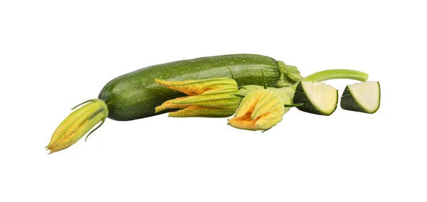 Färska Zucchini Squashes Vit Bakgrund — Stockfoto
