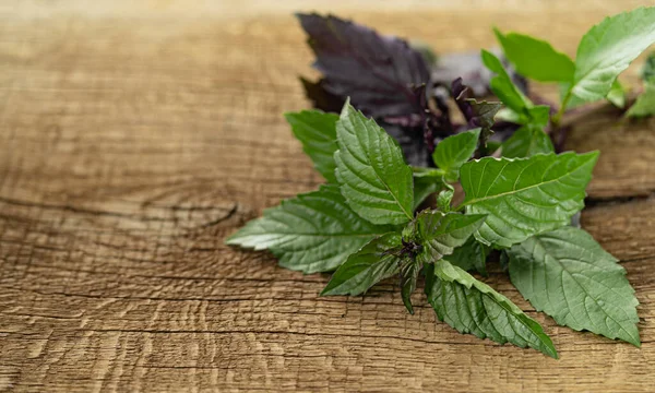 Fresh Organic Basilic Leaves Wooden Table — Stock Photo, Image