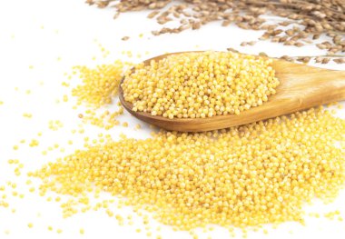 Beyaz bir arka planda ince dallarla bir kaşıkta Millet.