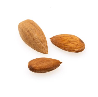 lezzetli badem fındık izole beyaz zemin üzerine