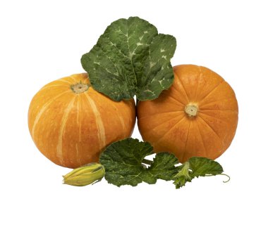 Beyaz arka plan üzerinde izole yeşil yaprakları ile kabak sarı sebze