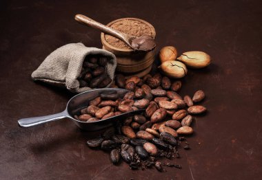 Kakao çekirdeği ve pudra ile koyu ahşap bir masa üzerinde kompozisyon