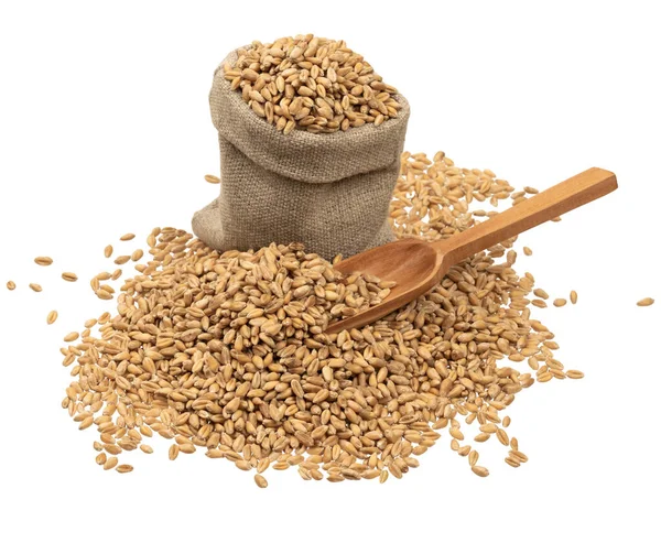 Wheat Grains Burlap Wooden Spoon White Background — Stock Photo, Image