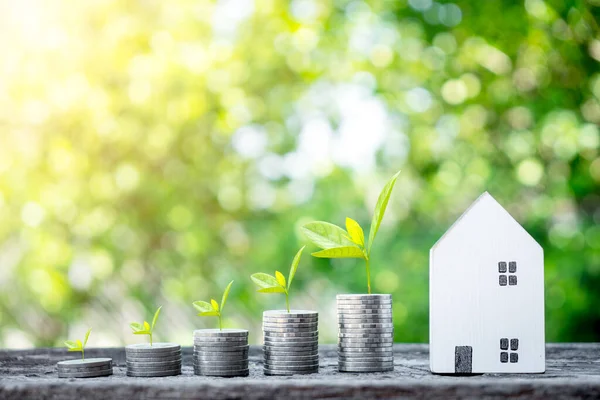 Growing Plants Coins Stacked Pmini House Soil Money Growing Concept — Stockfoto