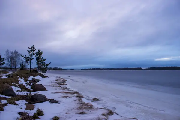 Ağaçlı ve bulutlu manzara