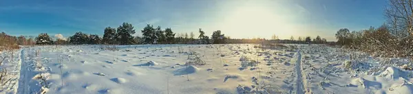 Paisaje Con Campo — Foto de Stock