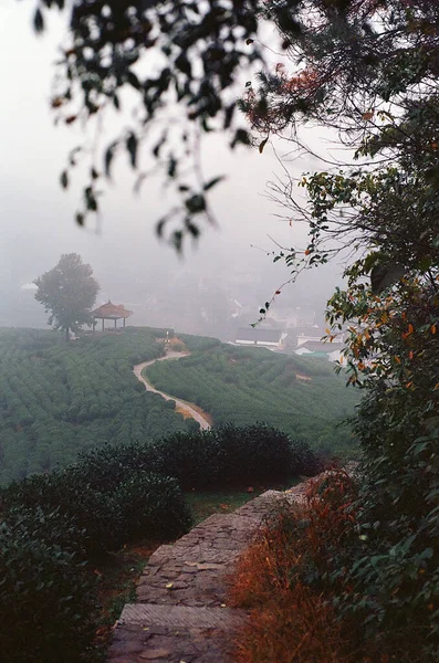 山の村 龍井茶 中国の静かな生活 — ストック写真