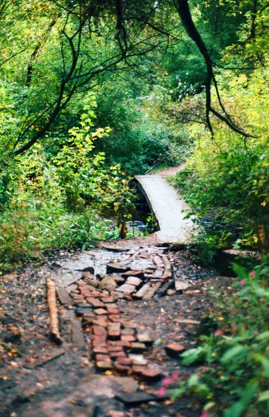 Pequeño Puente Bosque — Foto de Stock