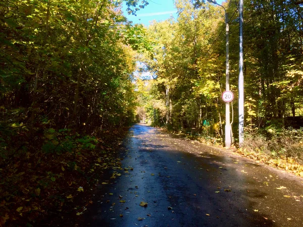 Ścieżka Jesiennym Lesie — Zdjęcie stockowe