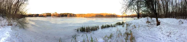 Panorama Del Bosque Invierno — Foto de Stock