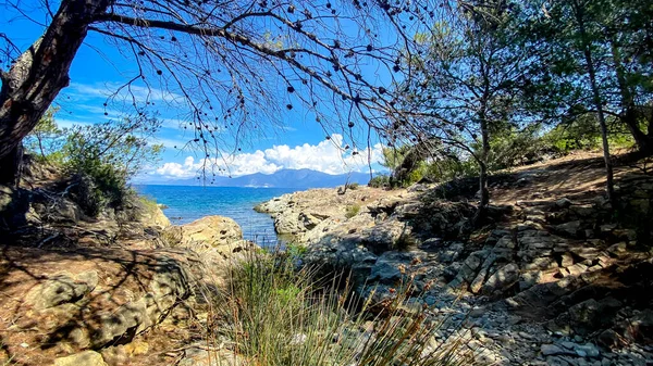 Vista Desde Camino Hermosa Playa Saleccia Cerca Saint Florent Playa — Foto de Stock