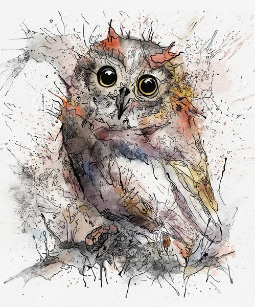 Baykuş bir dalda oturuyor