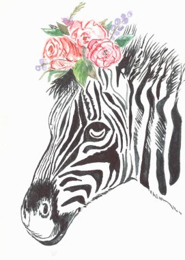 Çiçek resimli hayvan kartpostallı bir zebra.