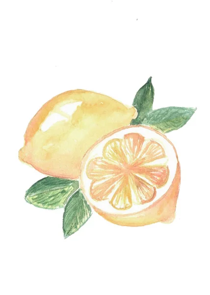 Yapraklı limon resimli kartpostal