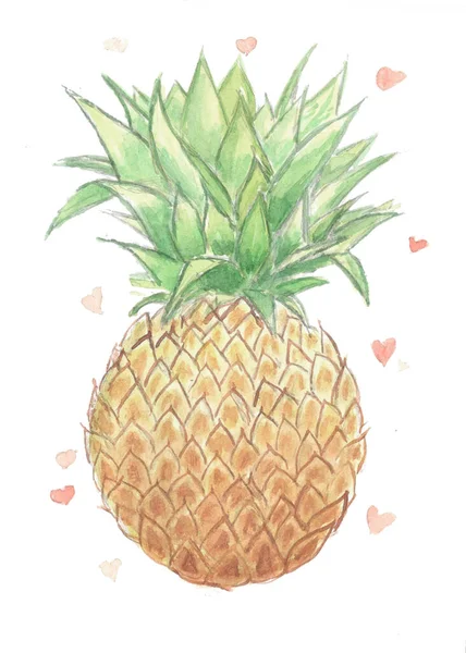 Ananas Bílém Akvarelu Ilustrace — Stock fotografie