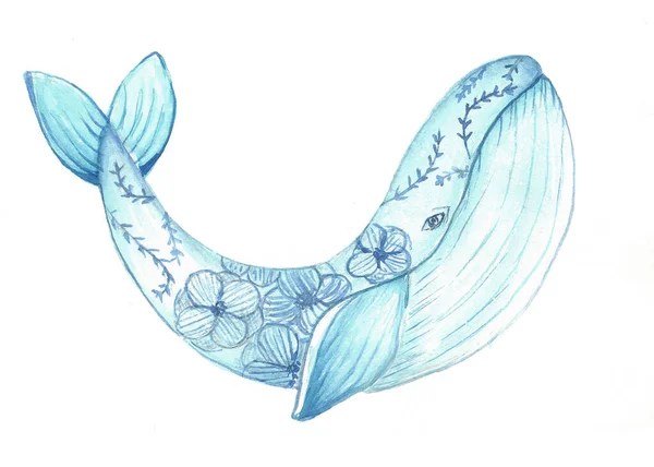 ปลาวาฬส าเง ปแบบดอกไม ภาพประกอบส — ภาพถ่ายสต็อก