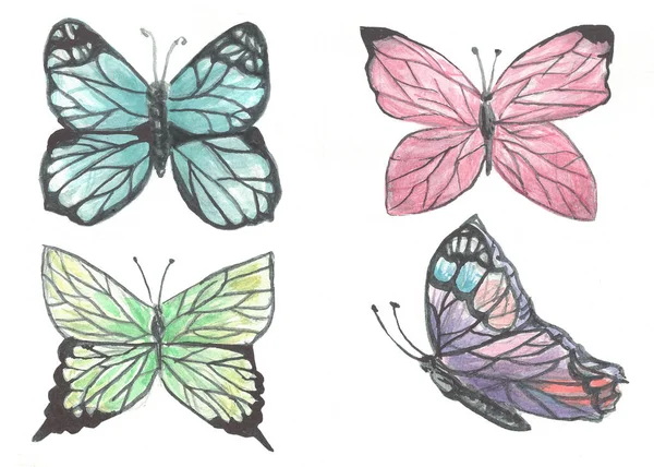 Conjunto Mariposas Acuarela Ilustración — Foto de Stock