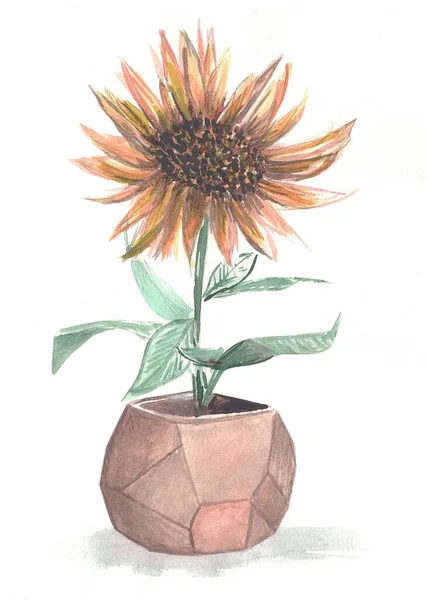 Bir saksı suluboya illüstrasyonunda çiçek 