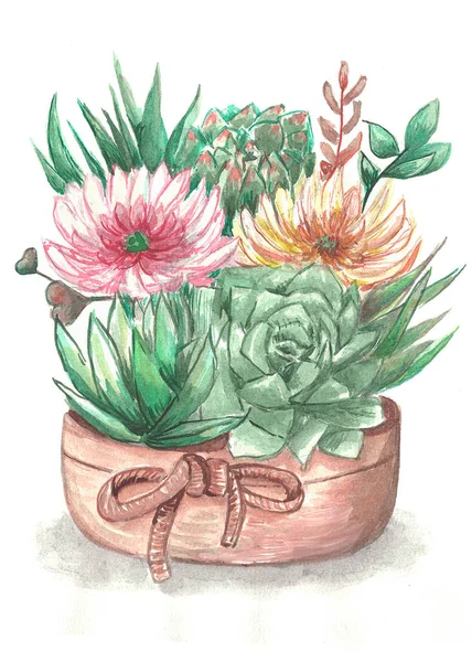 Flores Cactus Una Ilustración Acuarela Olla — Foto de Stock
