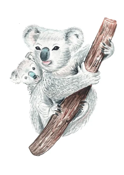 Oyuncak ayı panda ve hediye resimli hayvanlar kartpostalı.