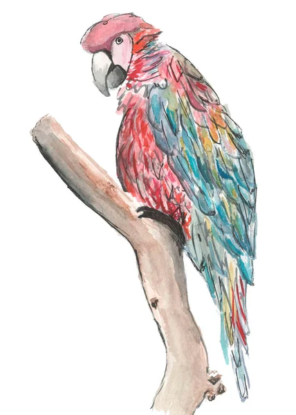 mavi ve sarı makav ara illüstrasyon hayvanları kartpostal