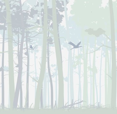 Sabahları bambu ormanı. Kuşlar yeşil mor arka planda.