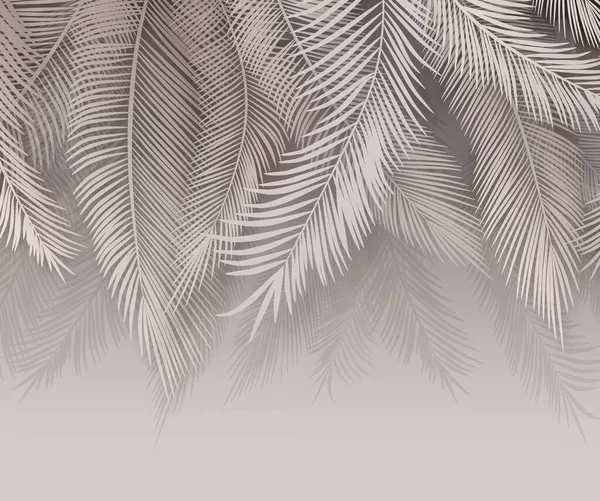 Bílé Exotické Palmové Listy Stíny Neutrálním Pozadí Krásné Rostliny Pozadí — Stock fotografie