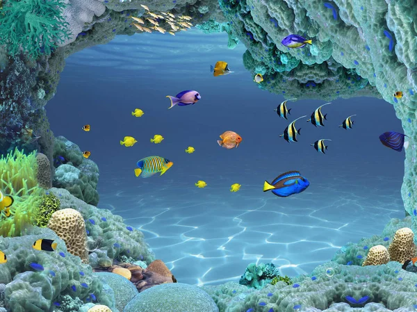 Renkli balıklı mağara. Okyanus tabanı. Suyun altından güzel resifler.