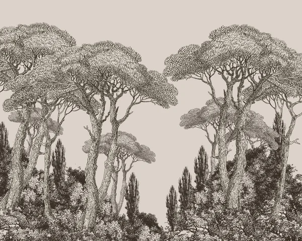 Vintage huge trees on a beige monochrome background cypresses baobabs