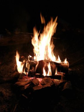 Evening fire against the background of darkness.