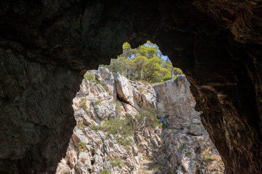 İtalya, Puglia 'daki Tremiti Adaları' nın arka planında kayalar ve Halep çamları olan deniz mağarasının kemeri..