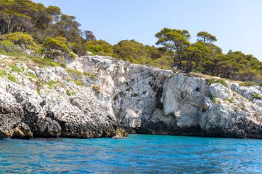 Kireçtaşı kayaları, bitki örtüsü ve İtalya 'nın Puglia kentindeki Tremiti Adaları' nın San Domino adasının kıyıları..
