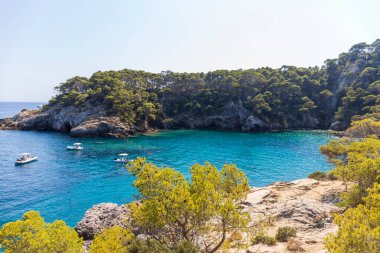Tremiti Adaları takımadaları, Puglia, İtalya 'daki San Domino adasının Spido Körfezi (Punta dello Spido).