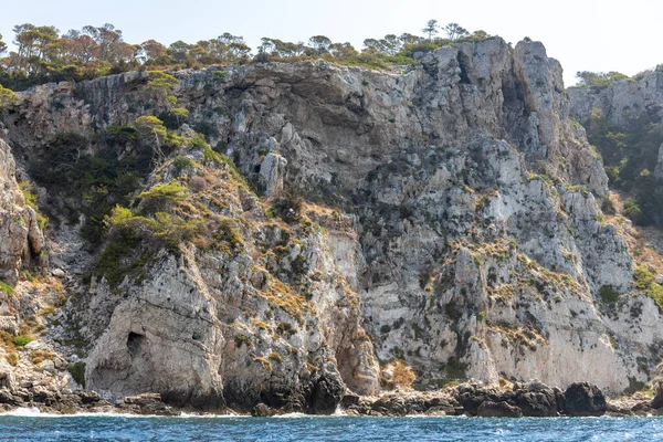 Kireçtaşı Kayaları Bitki Örtüsü Talya Nın Puglia Kentindeki Tremiti Adaları — Stok fotoğraf