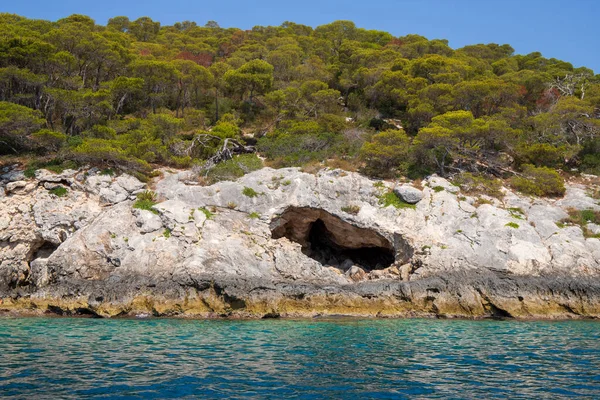 Piedras Calizas Vegetación Cuevas Costa Isla San Domino Del Archipiélago —  Fotos de Stock