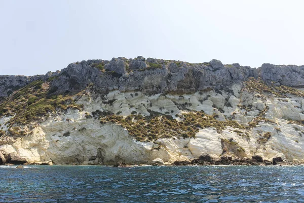 Tremiti Adaları Puglia Talya Kaya Oluşumu Kapari Bitkisi — Stok fotoğraf