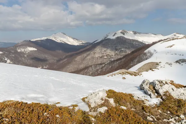 Montagne Con Neve Piante Campocatino Italia Inverno — Foto Stock