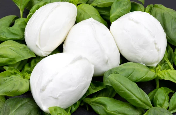 Italian Buffalo Mozzarella Mozzarella Bufala Fresh Basil Leaves Close Mozzarella — Stok Foto