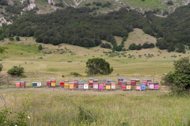 İtalya, Abruzzo 'daki dağlarda renkli ahşap arı kovanları. Dağ arıcılığı.