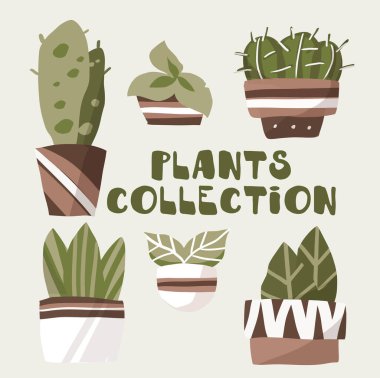 Home plants in flowerpot with a different patterns