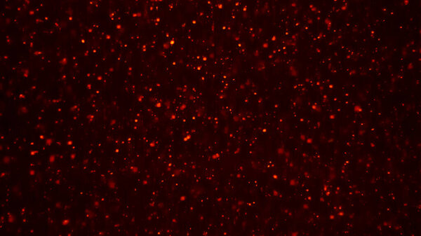 Красные частицы снега bokeh текстуры фона. Блестящие частицы пыли на Рождество