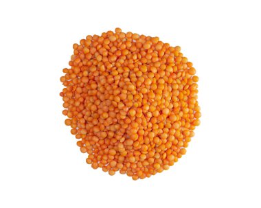 Kırmızı mercimek yığını, beyaz üzerine izole edilmiş organik kırmızı mercimek yığını.